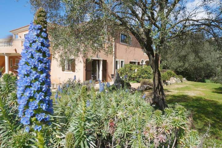 Chambre d’hôte pour 6 personnes, avec Terrasse ainsi que Jardin et Piscine à Sartène