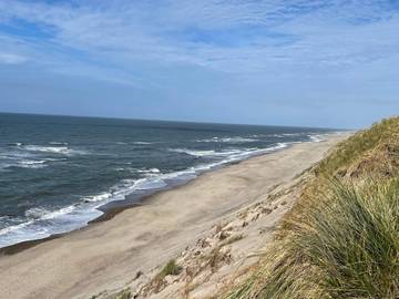 Feriehus til 18 Personer i Ulfborg, Nordsjøkysten av Danmark, Bilde 3