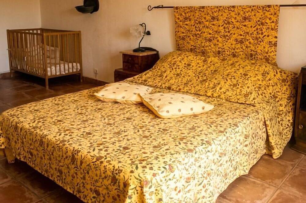 Old Mas in Provence with swimming pool in Cabannes, Arles region