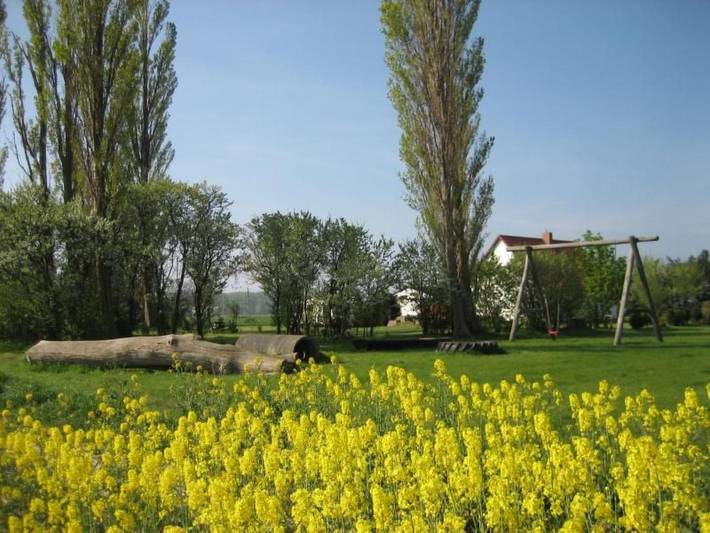 Ganze Wohnung, Gans in Ummanz-Lüßvitz in Ummanz, Rügen