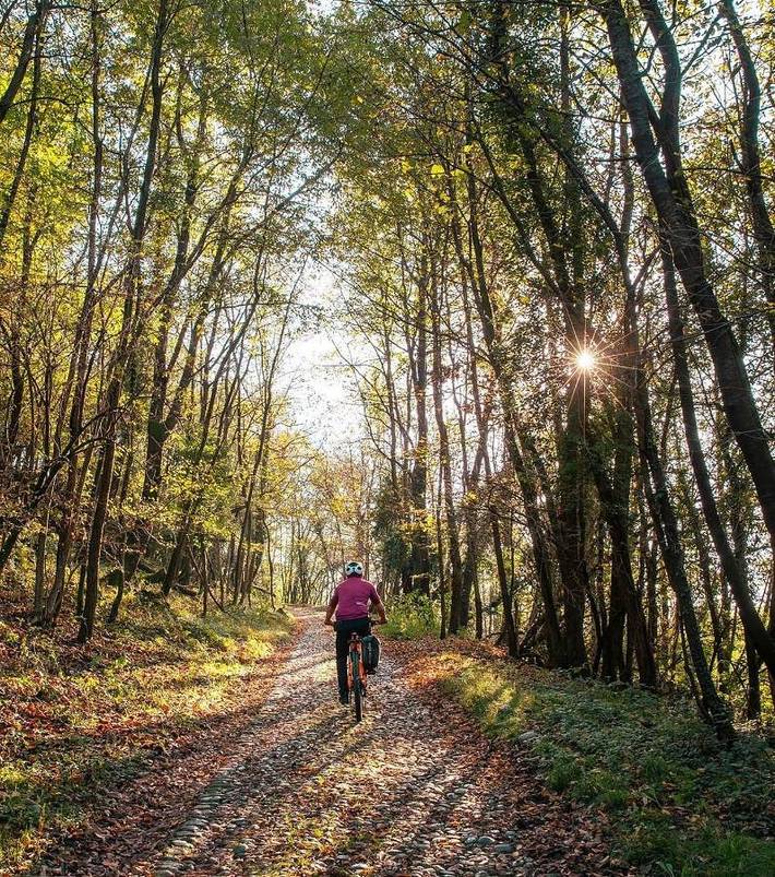 Maison d’hôte pour 4 personnes, animaux acceptés à Agliè - 4