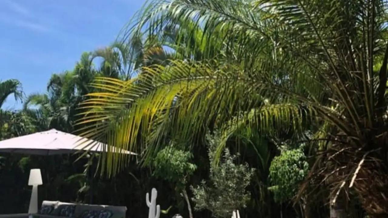 Appartement de vacances entier, Appartement de vacances pour 7 personnes avec terrasse in Baie-Mahault, Guadeloupe