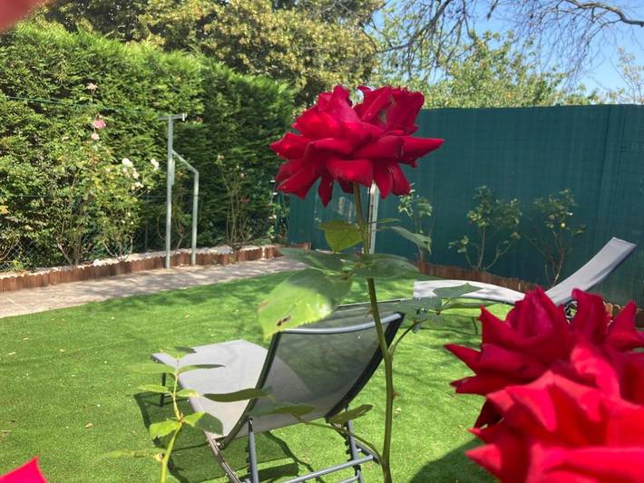Maison de vacances pour 2 personnes, avec jardin, animaux acceptés dans le Lot-et-Garonne