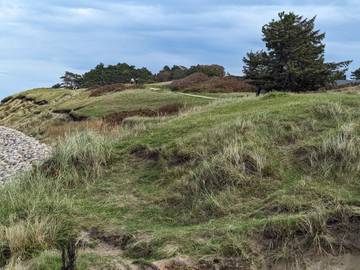 Ferieudlejning til 16 Personer i Munkerup, Dronningmølle, Billede 4