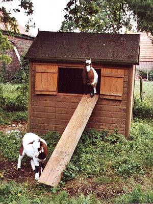Bauernhof für 5 Personen, mit Garten, kinderfreundlich in Werdum - 4