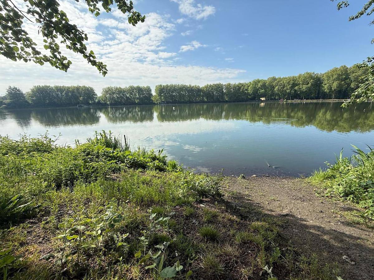 La maison du vivier face au plan d eau in Sin-le-Noble, Département Nord