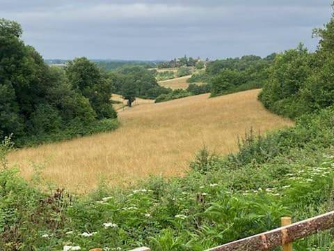 Location de vacances pour 2 personnes, avec jardin et vue à Saint-Avit-Sénieur - 3