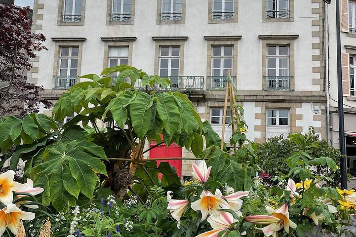 Ferienhaus für 4 Personen - 1