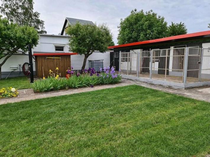 Ferienhaus für 4 Personen, mit Terrasse und Garten in Lutherstadt Eisleben - 3