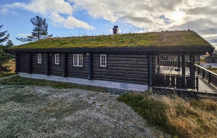 Ferienhaus für 8 Personen mit Terrasse in Nissedal