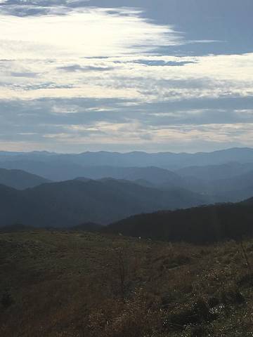 Log Cabin for 8 Guests in Cosby (TN), Cocke County, Picture 2