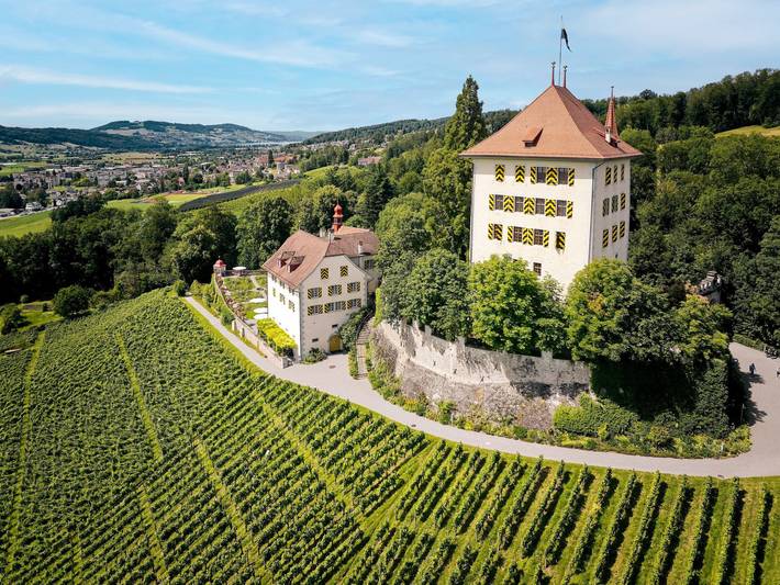 Ganze Wohnung, Schloss Heidegg in Hitzkirch, Kanton Luzern