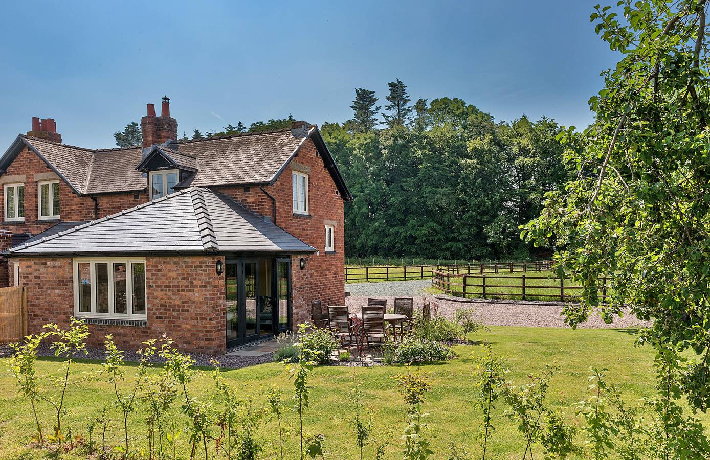Fox and Hare in Shropshire