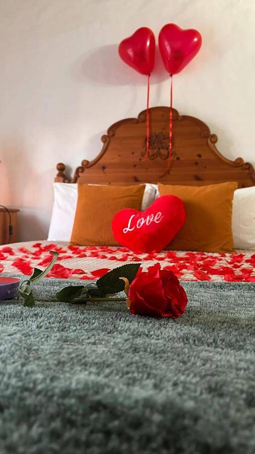 Location de vacances pour 4 personnes, avec piscine et jardin dans Ourique - 2