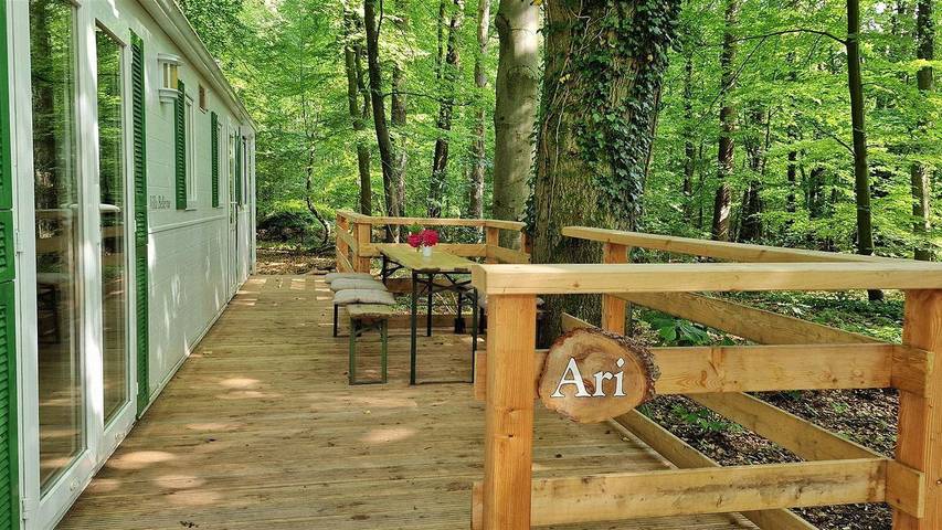 Camping für 6 Personen, mit Garten, mit Haustier in Niedersachsen - 4