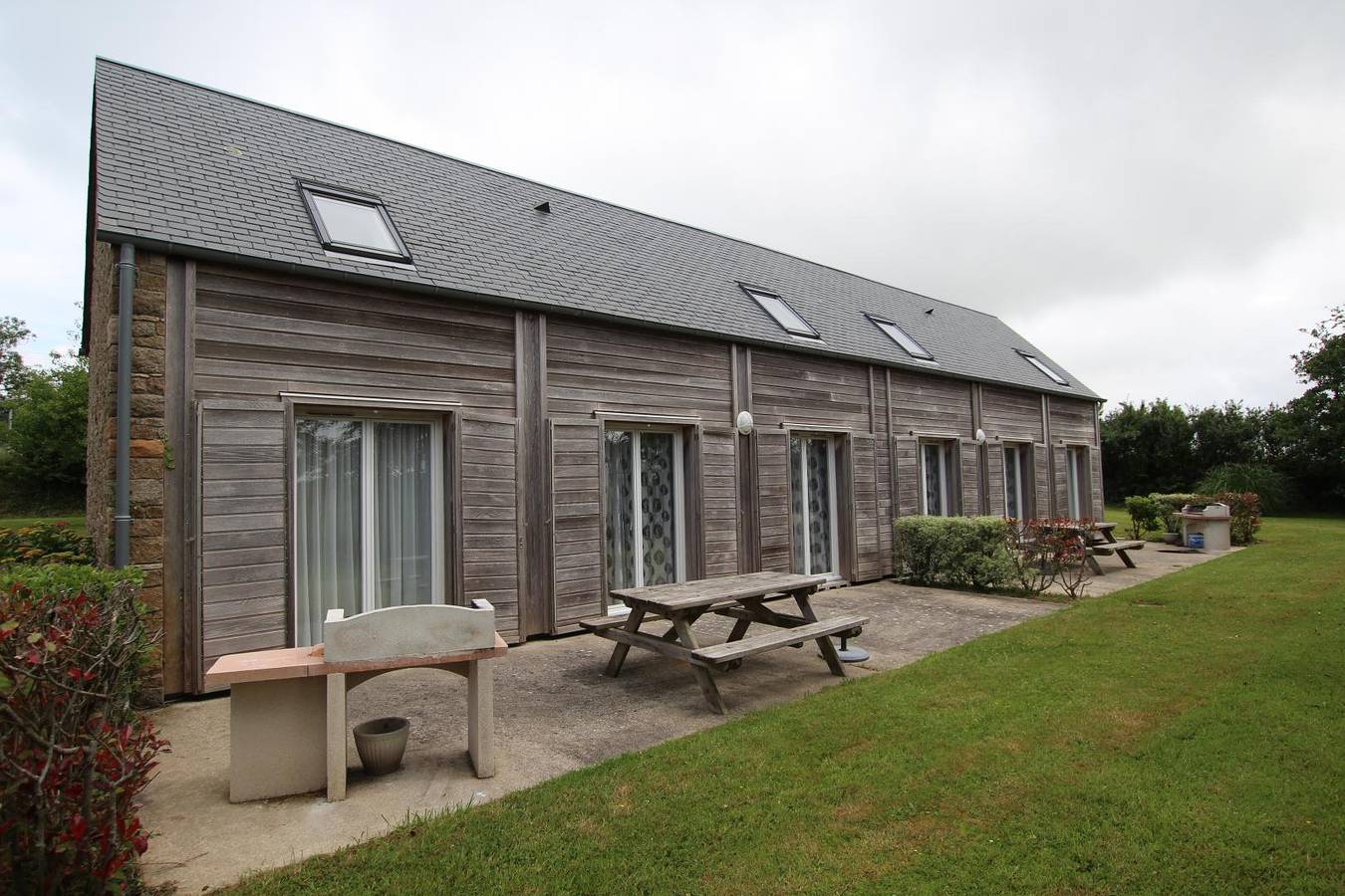 Matricaire maritime in Biville, La Hague