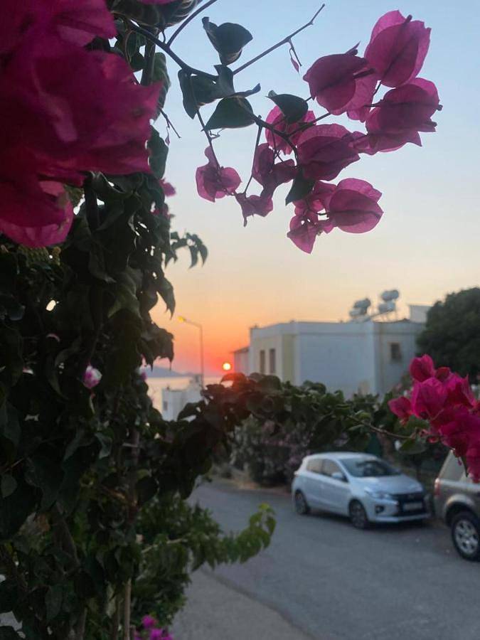 Ferielejlighed for 5 personer, med have og udsigt - 1
