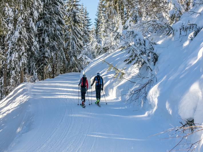 Ganze Wohnung, Urlaub mit Bergblick in Mittersill in Mittersill, Pinzgau