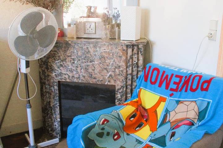 Ferienhaus für 6 Personen, mit Haustier - 1