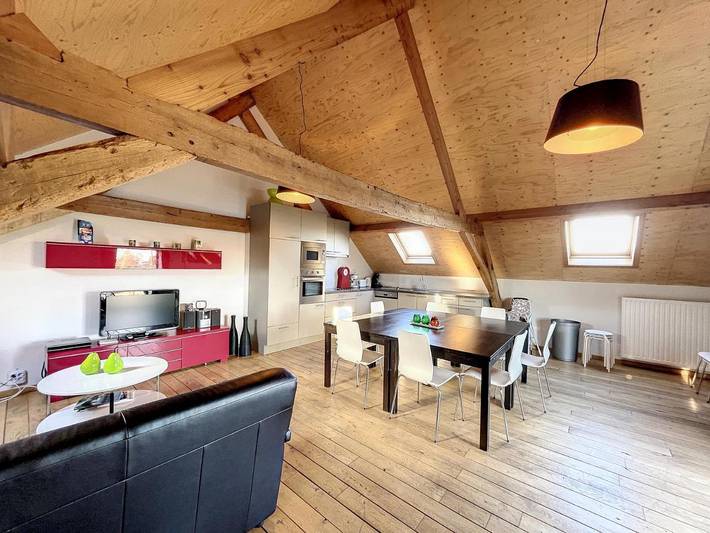 Location de vacances pour 6 personnes, avec jardin, animaux acceptés à Furnes - 4