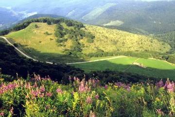 Location De Vacances pour 6 Personnes dans Saint-Nicolas, Parc naturel régional des Ballons des Vosges, Photo 4