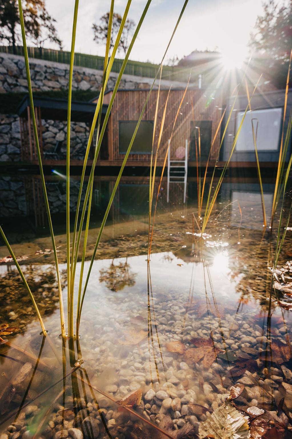 Ganze Ferienwohnung, Waldjuwel - Ferienhaus in Allhartsberg, Mostviertel Region