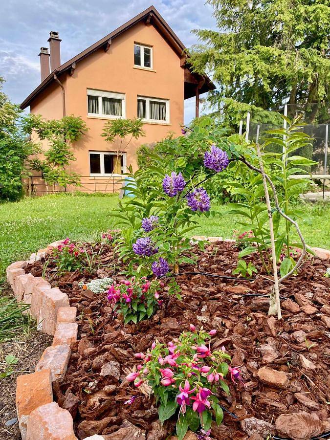Gîte pour 2 personnes, avec jardin à Jungholtz - 2