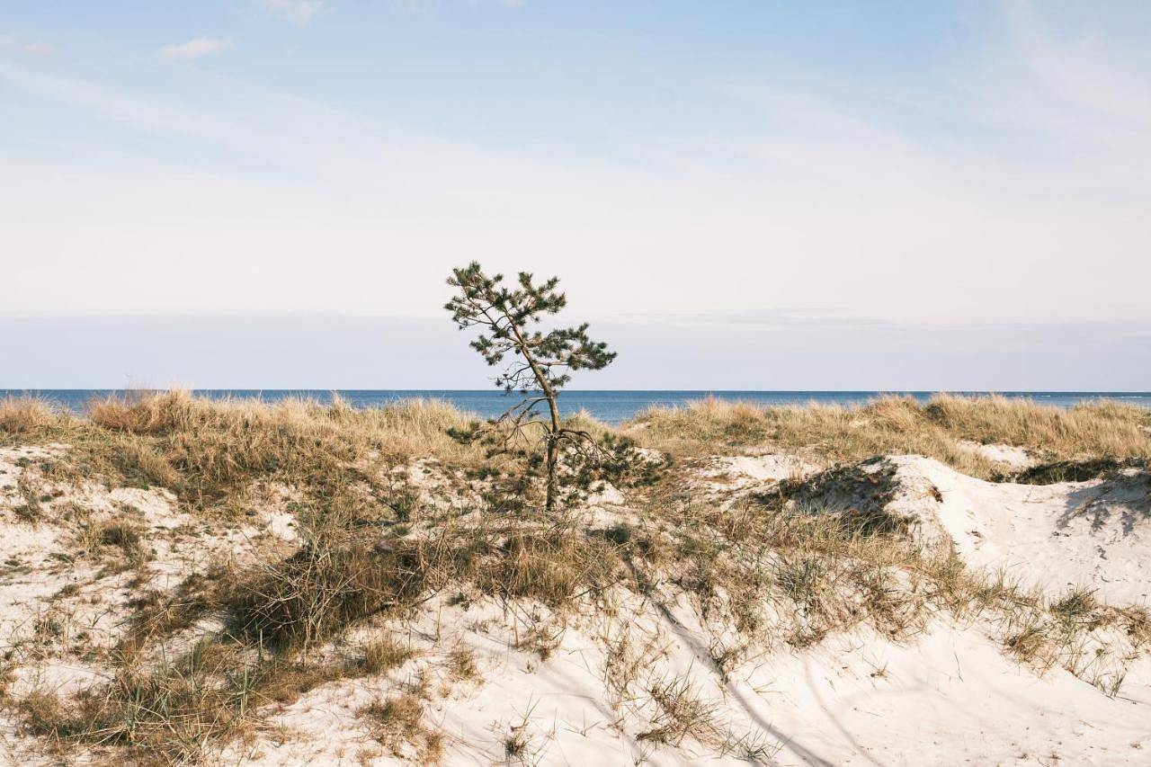 Dunes Beach Camp in Balka Strand, Bornholm