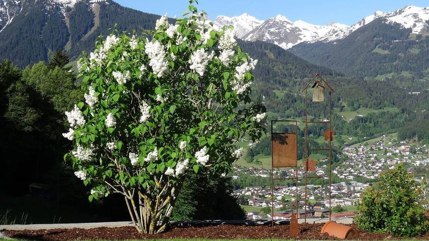 Appartement voor 4 personen, met tuin en terras, kindvriendelijk in Schruns