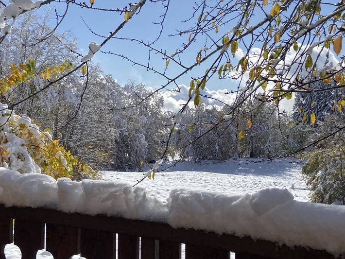 Chalet pour 4 personnes, avec jardin et balcon en Savoie - 4