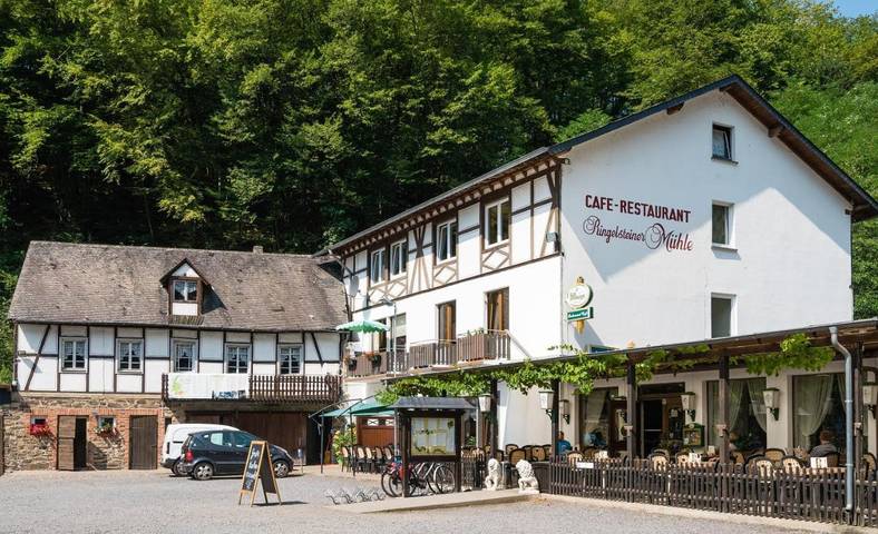 Hotel für 3 Personen, mit Terrasse und Garten in Moselkern