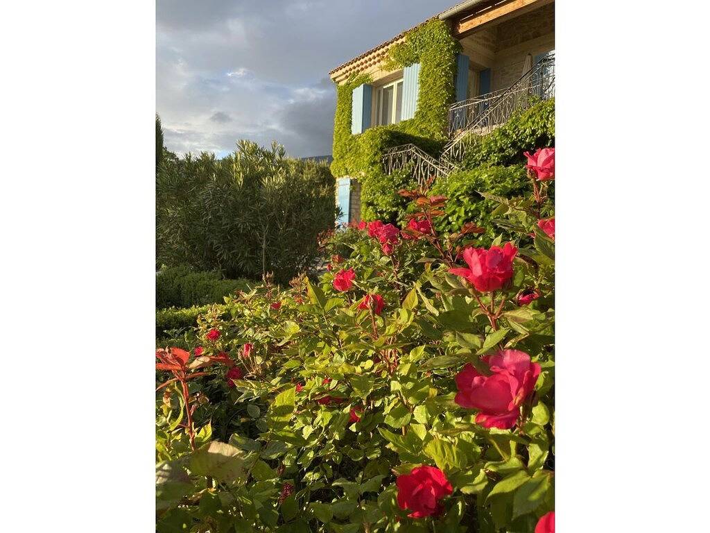 Cerisiers - Rosiers in Bédoin, Parque natural regional del Mont Ventoux