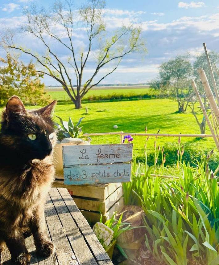 Gîte pour 4 personnes, avec jardin ainsi que terrasse et vue à Saint-Nicolas-de-la-Grave