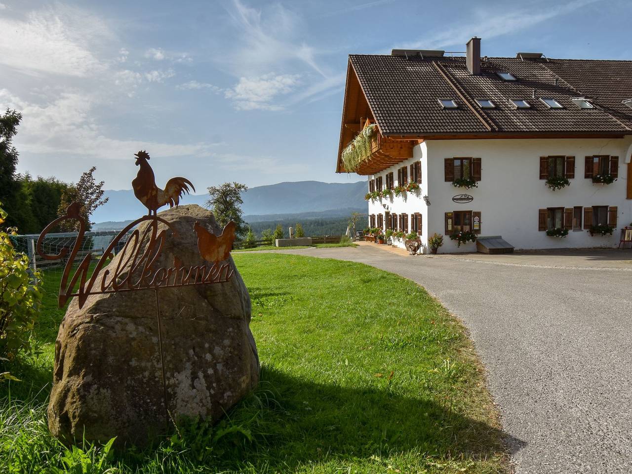 Biohof-Rechenmacher - 2 Ringelblume in Uffing, Das Blaue Land