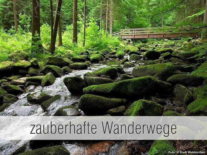 Ferienhaus für 4 Personen, mit Sauna und Garten sowie Whirlpool und Pool, kinderfreundlich in Landkreis Freyung-Grafenau - 3