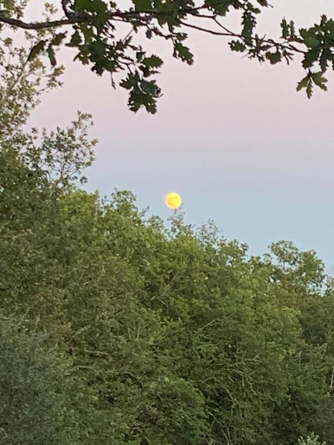 Location de vacances pour 4 personnes, avec vue et jardin, animaux acceptés à Orliaguet - 3