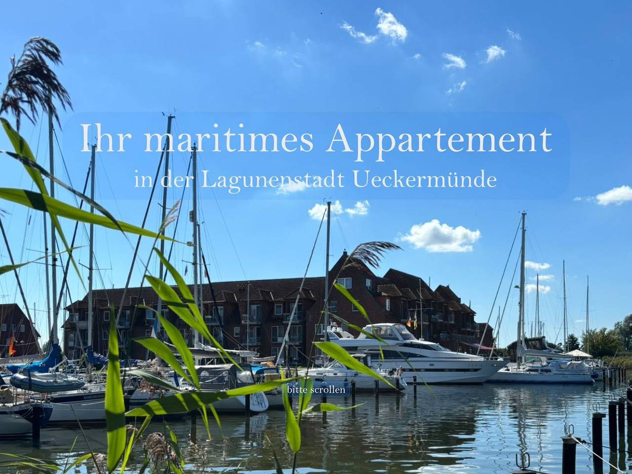 Ganze Ferienwohnung, Maritimes Apartm. im Yachthafen der Lagunenstadt Ueckermünde - Apartment Seestern 231 in Ueckermünde, Stettiner Haff