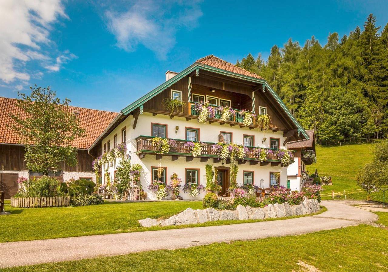 Ganze Wohnung, Wohlfühlbauernhof Bambichlhof in Fuschl am See, Bezirk Salzburg-Umgebung