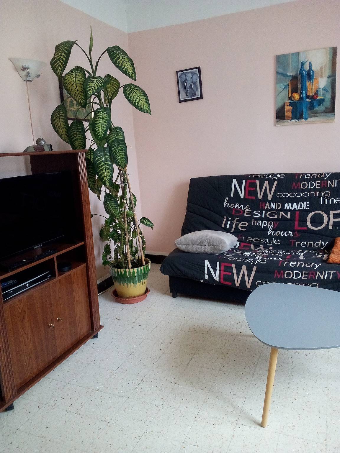 Apartamento entero, Apartamento 'Le Vigan' con jardín compartido y Wi-Fi in Le Vigan, Cevenas