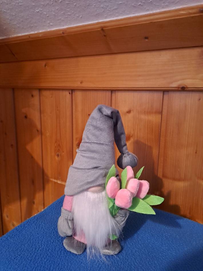Ferienwohnung für 3 Personen, mit Garten, mit Haustier in Oberwiesenthal - 3