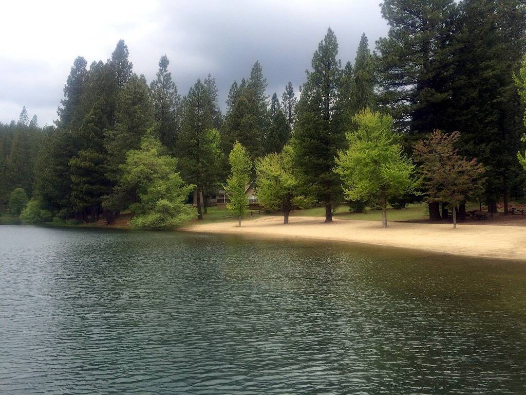 Lakemont Pines in Arnold - * Dog Friendly * - Episches Ski-Bear Valley! Wandern! in Arnold, Calaveras County
