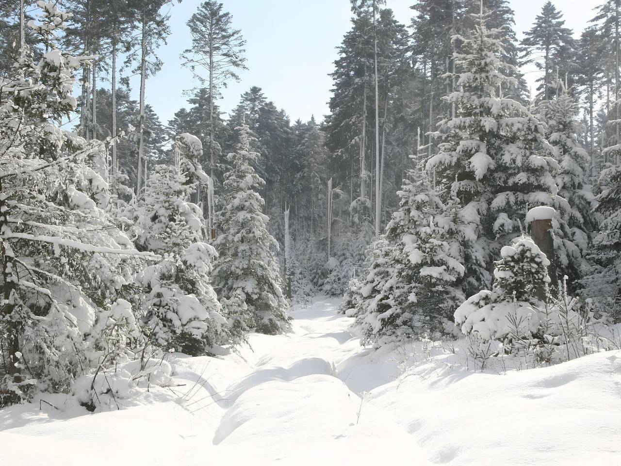 Ganze Ferienwohnung, Ferienhof Hirschfeld in Pfalzgrafenweiler, Nordschwarzwald