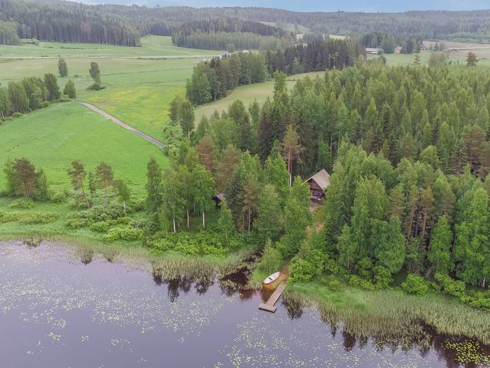 Joutsen in Pirkanmaa