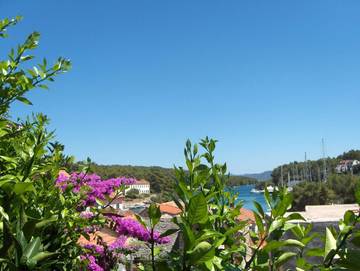 Maison d’hôte pour 2 personnes, avec jardin dans Hvar