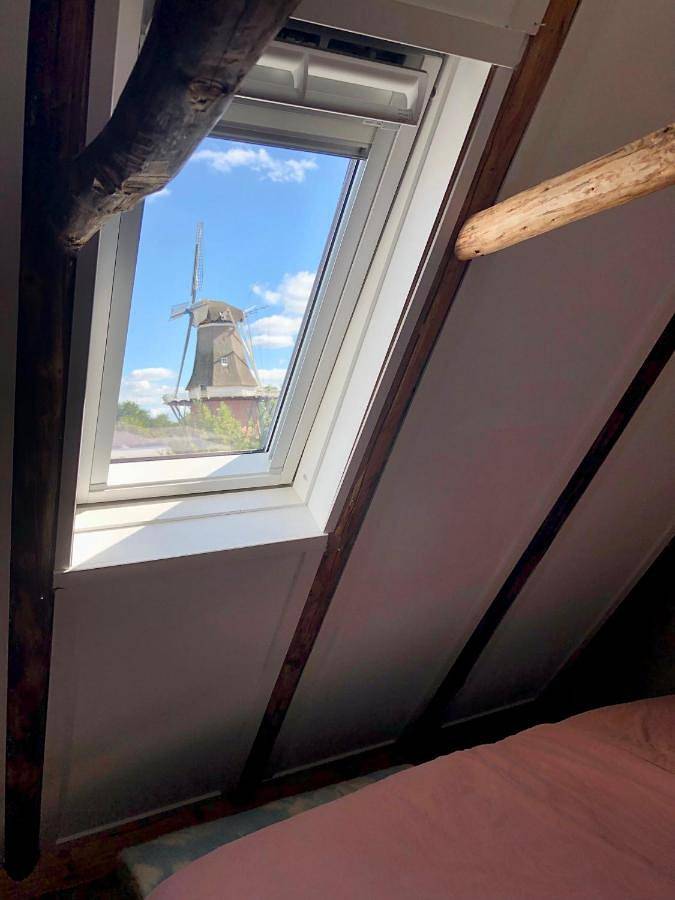Location de vacances pour 2 personnes, avec Terrasse et Vue dans Peize - 4