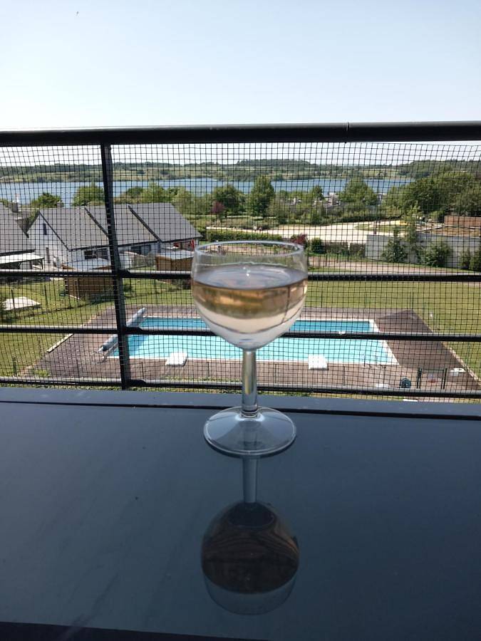 Appartement de vacances pour 4 personnes, avec Balcon et Terrasse ainsi que Piscine et Vue sur le lac dans Boussu-lez-Walcourt