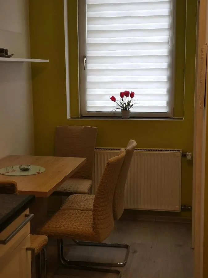 Appartement de vacances pour 4 personnes, avec vue, animaux acceptés - 1