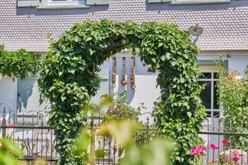Vacation Rental for 4 Guests in Wangen, Württembergisches Allgäu, Picture 3