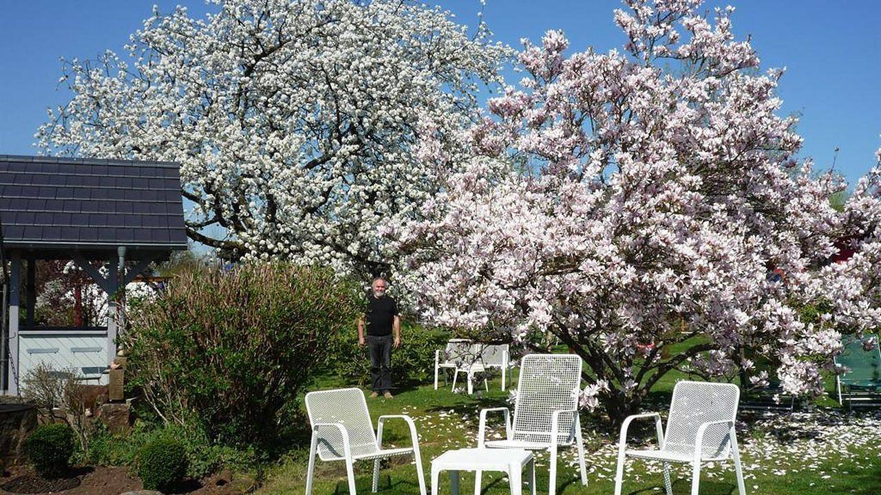Geheel vakantieappartement, Vakantieappartement voor 3 personen met tuin in Saarburg, Mosel-Saar