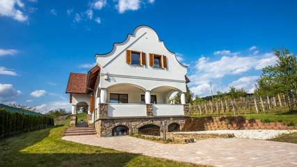 Gîte pour 10 personnes, avec jacuzzi et terrasse ainsi que sauna et jardin à Szigliget